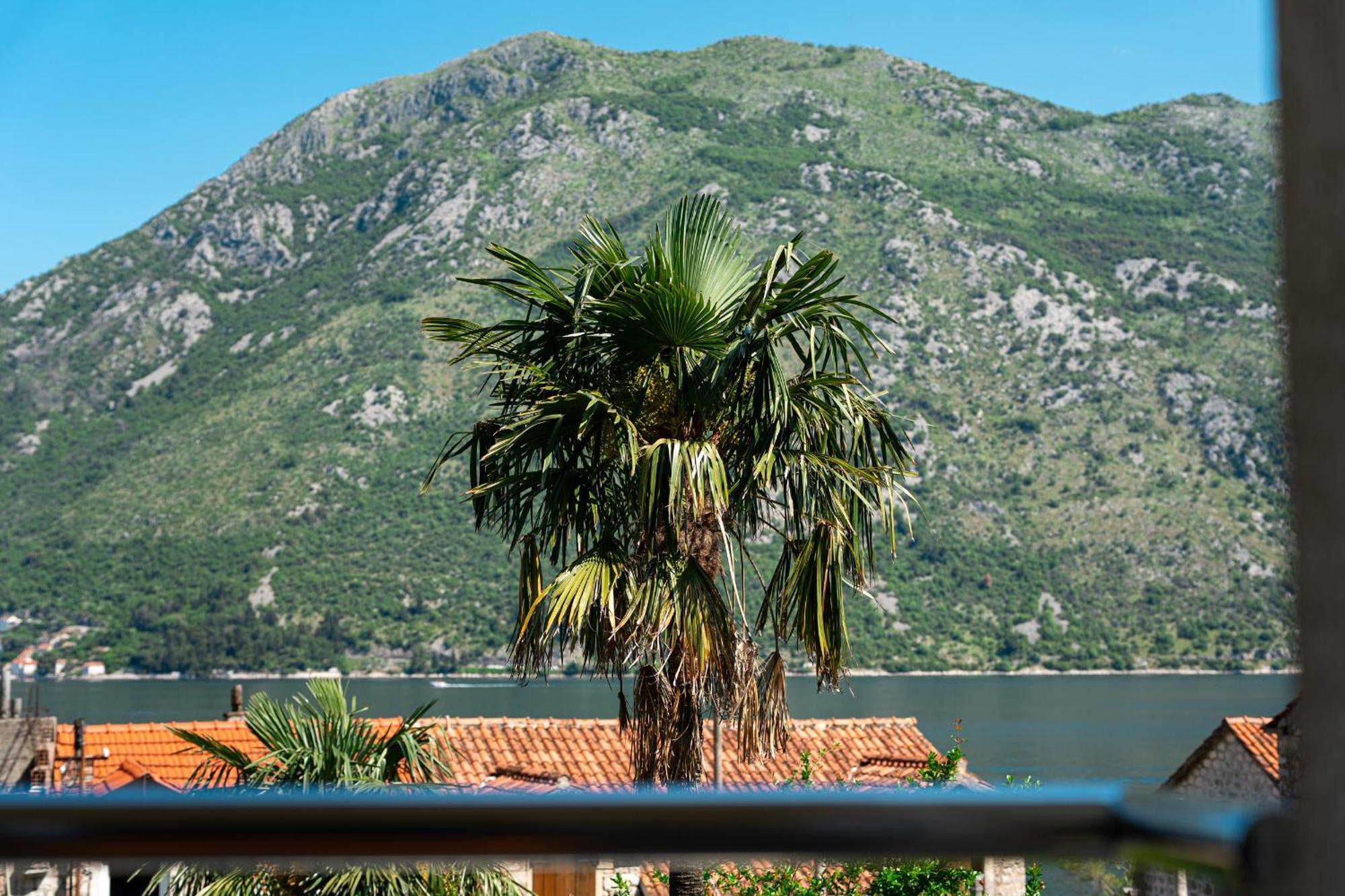 Hera Apartments Donji Stoliv Rom bilde